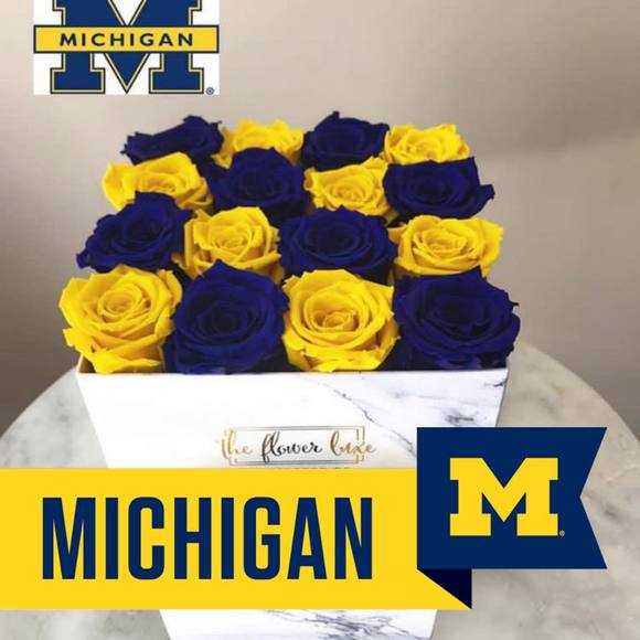 Meet your Posher, Tracy - Picture 1 of 1